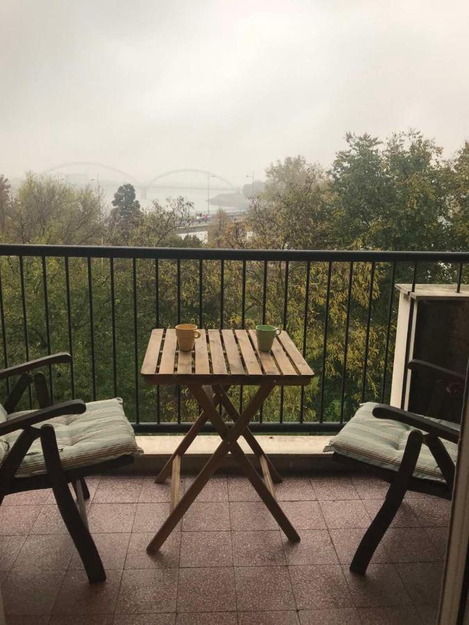 Duga Novi Sad